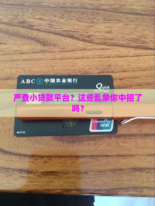 严查小贷款平台