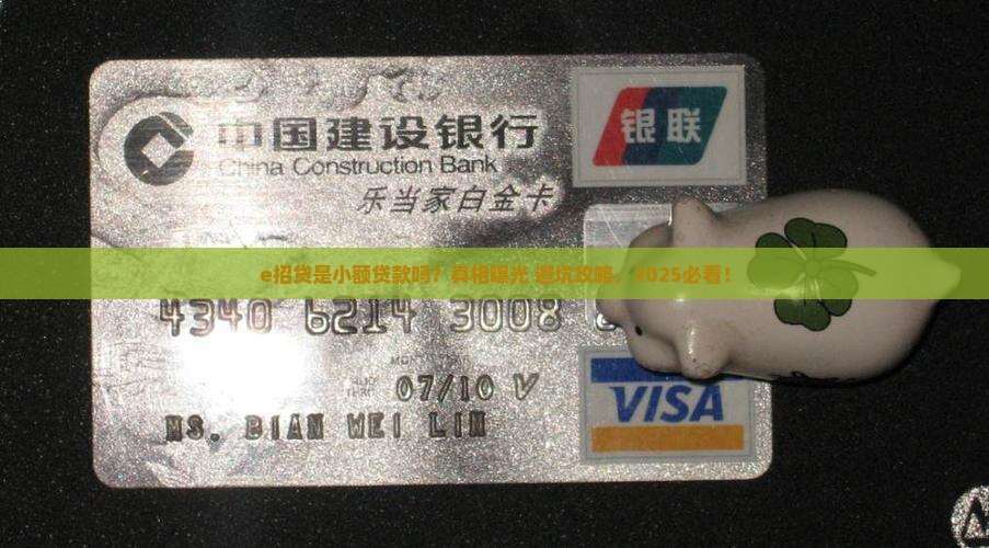 e招贷是小额贷款吗