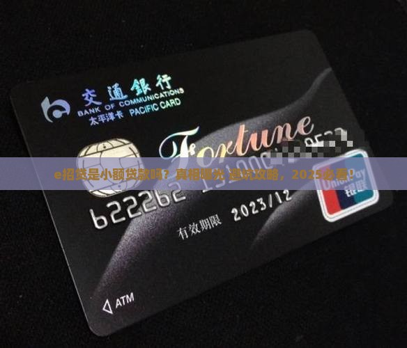 e招贷是小额贷款吗