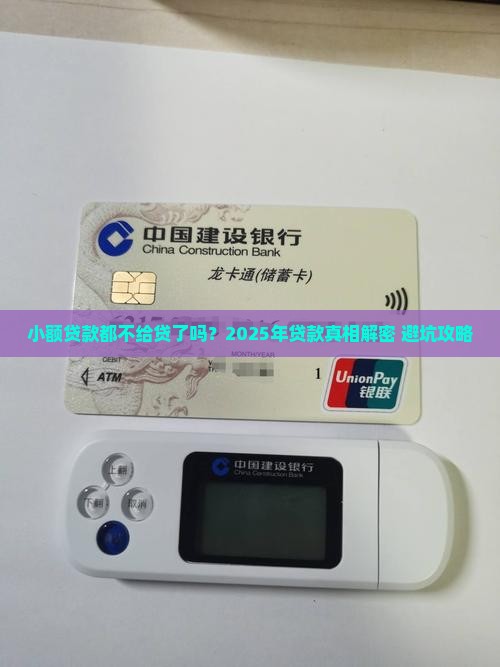 小额贷款都不给贷了吗