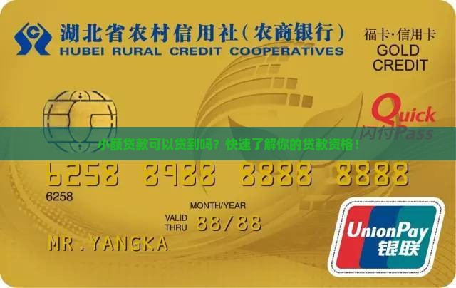 小额贷款可以贷到吗