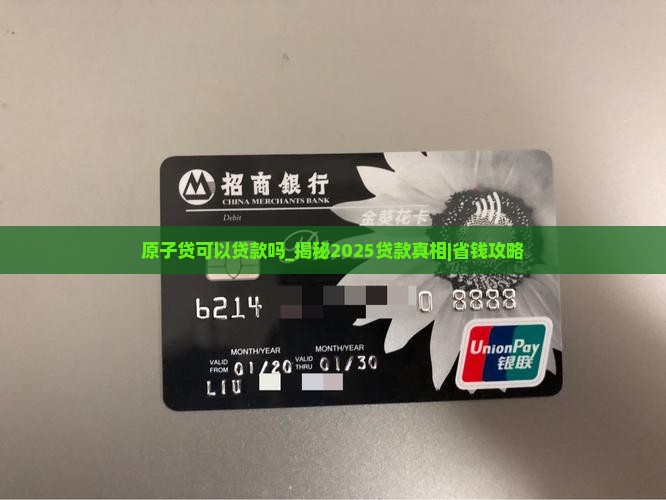 原子贷可以贷款吗