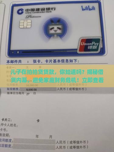 儿子在拍拍贷贷款