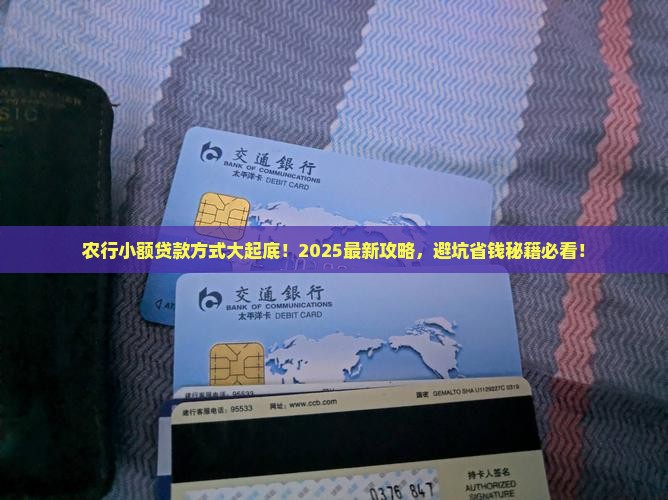 农行小额贷款方式