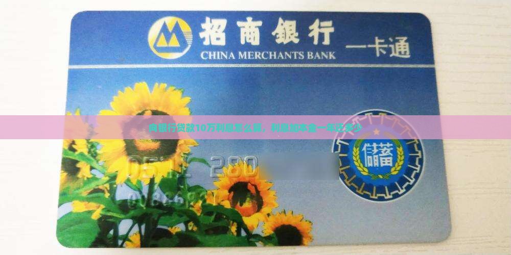 向银行贷款10万利息