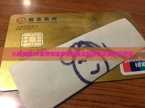 小额贷款50级用