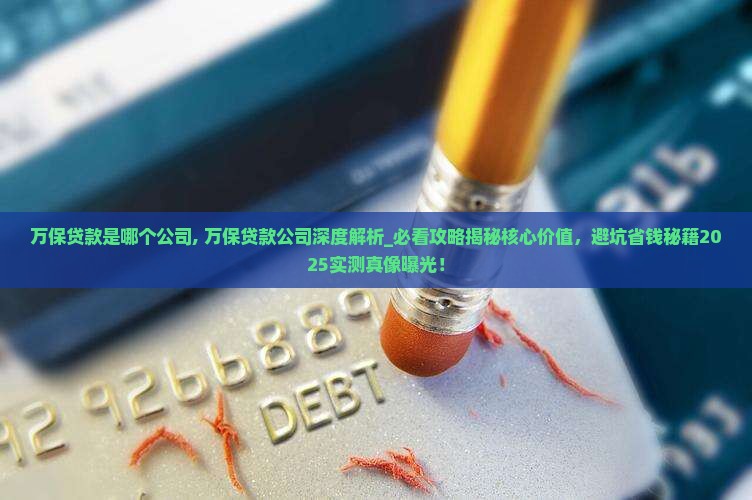 万保贷款是哪个公司