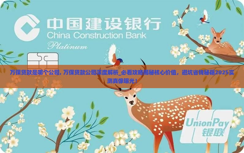 万保贷款是哪个公司