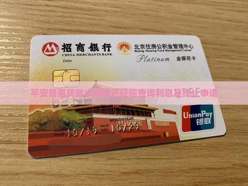 平安普惠贷款半年