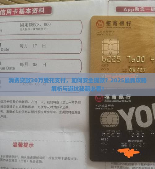 消费贷款30万受托支付
