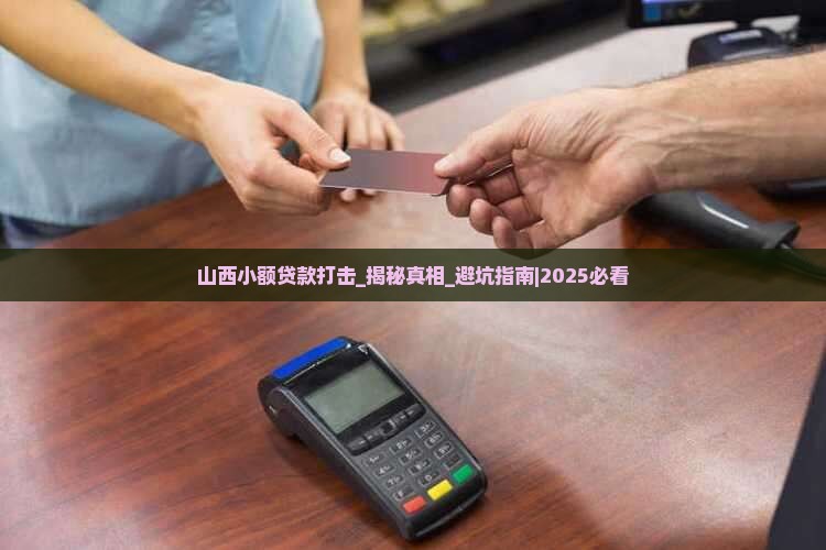 山西小额贷款打击