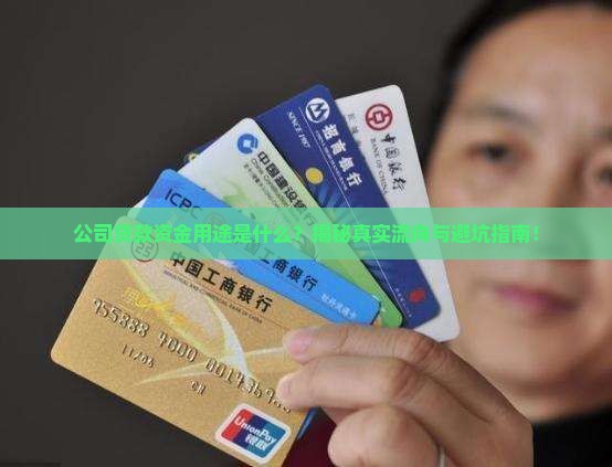 公司贷款资金用途是什么