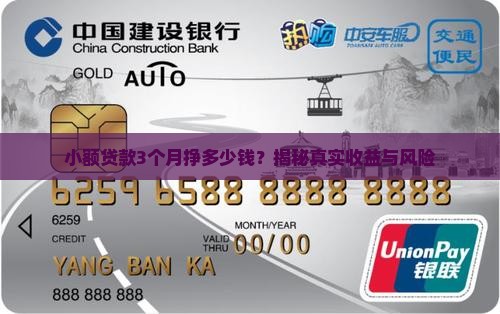 小额贷款3个月挣多少钱