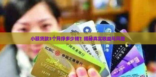 小额贷款3个月挣多少钱