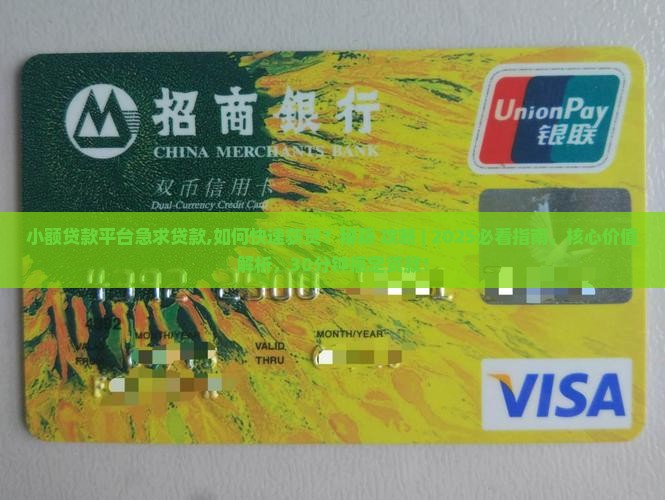 小额贷款平台急求贷款