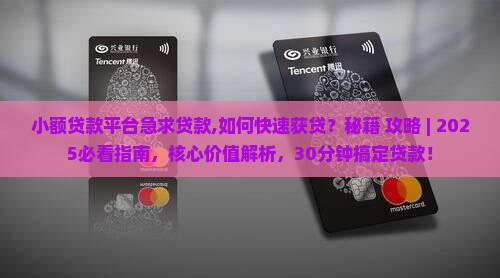 小额贷款平台急求贷款