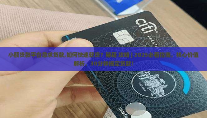 小额贷款平台急求贷款