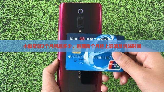 小额贷款2个月