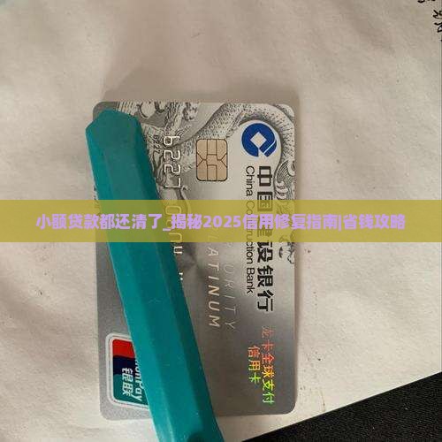 小额贷款都还清了