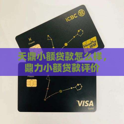 天鼎小额贷款