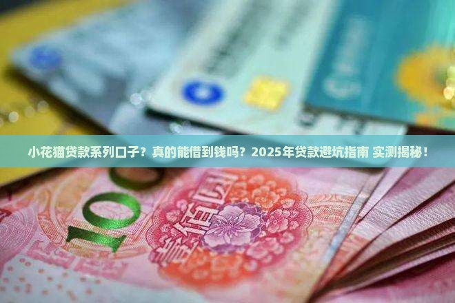 小花猫贷款系列口子