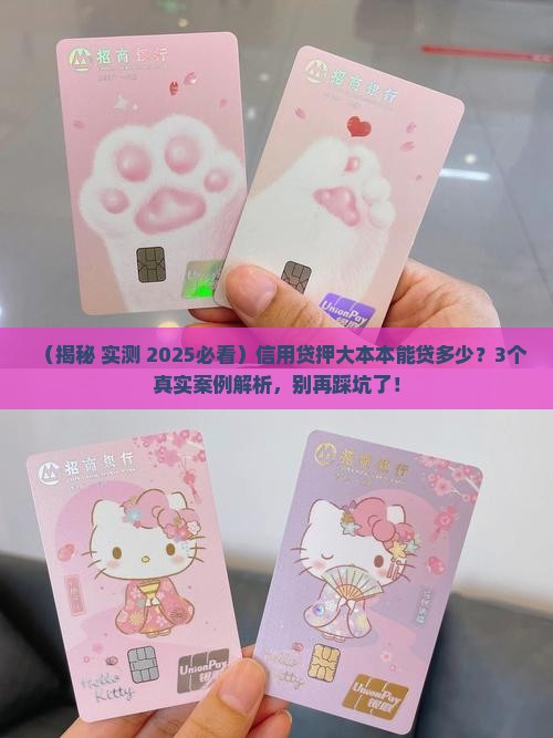 信用贷押大本能贷款吗