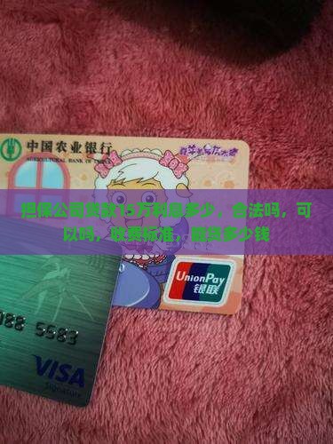 担保公司贷款15万