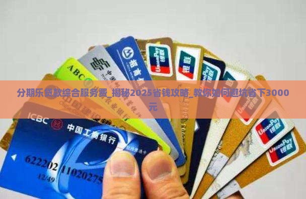 分期乐贷款综合服务费