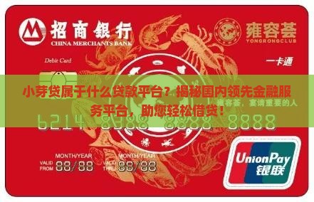 小芽贷属于什么贷款平台