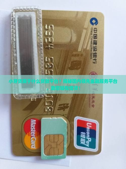 小芽贷属于什么贷款平台