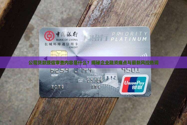 公司贷款授信审查内容是什么