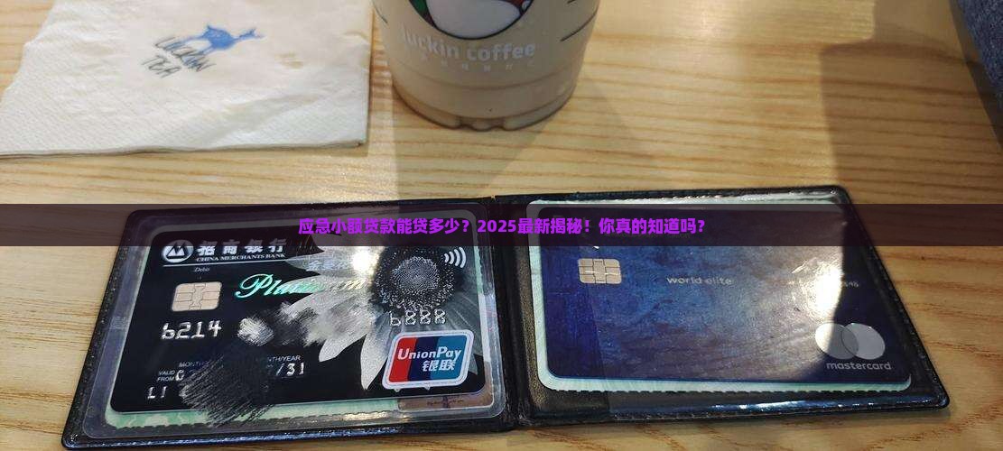应急小额贷款能贷多少钱