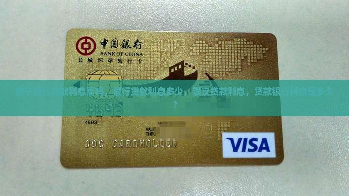 傻子银行贷款利息