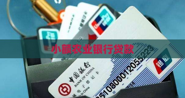 南充农业银行小额贷款