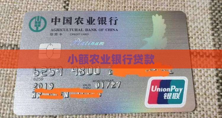 南充农业银行小额贷款