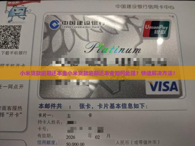 小米贷款逾期还本金