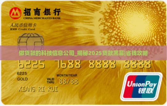 做贷款的科技信息公司