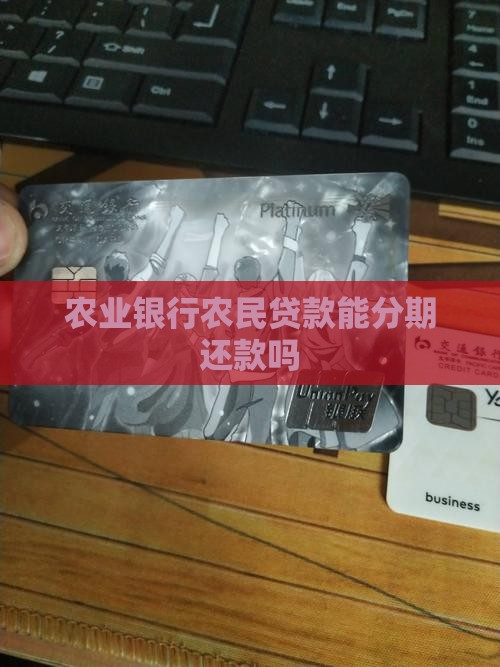 农业银行农民贷款能分期还款吗