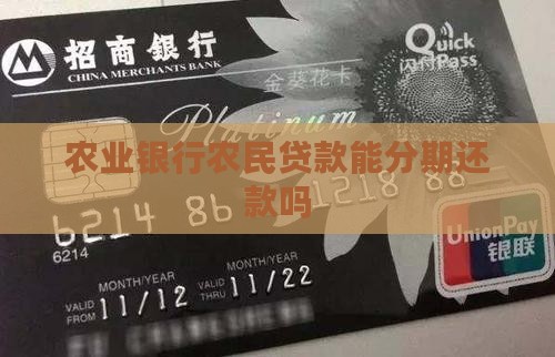农业银行农民贷款能分期还款吗