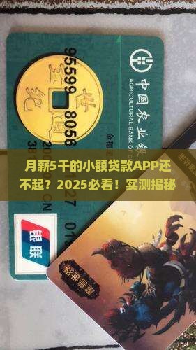小额贷款app还不起
