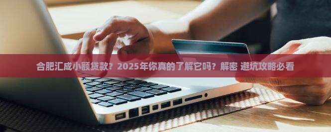 合肥汇成小额贷款