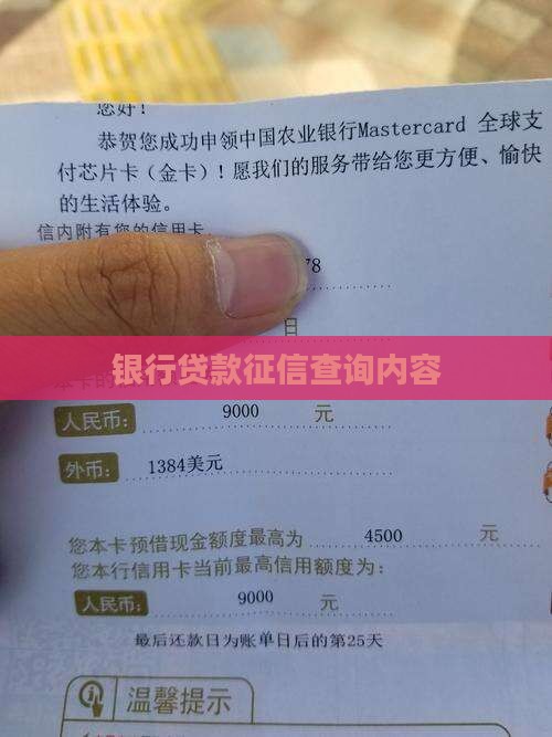 信用贷款查什么征信