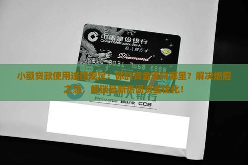 小额贷款使用途径规定