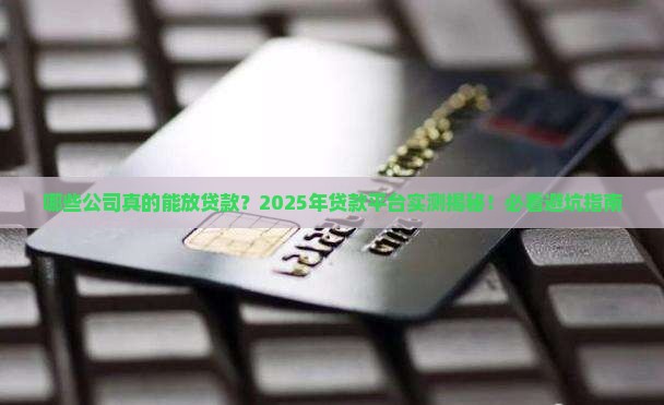 可以放贷款的几家公司