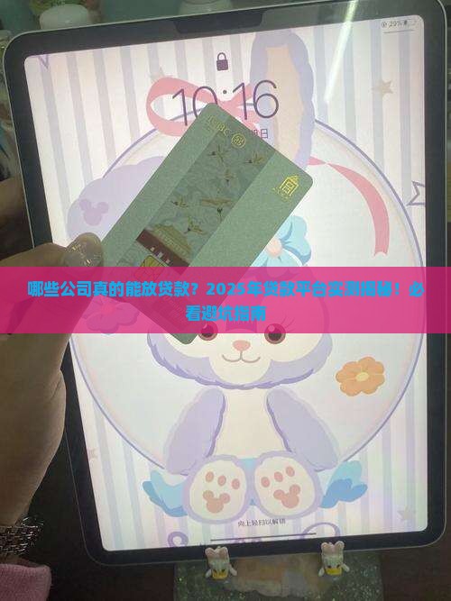 可以放贷款的几家公司