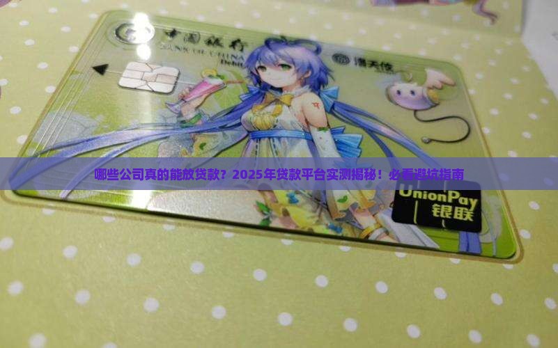 可以放贷款的几家公司