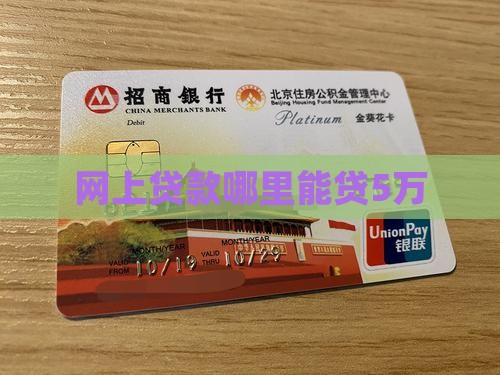 网上贷款哪里能贷5万