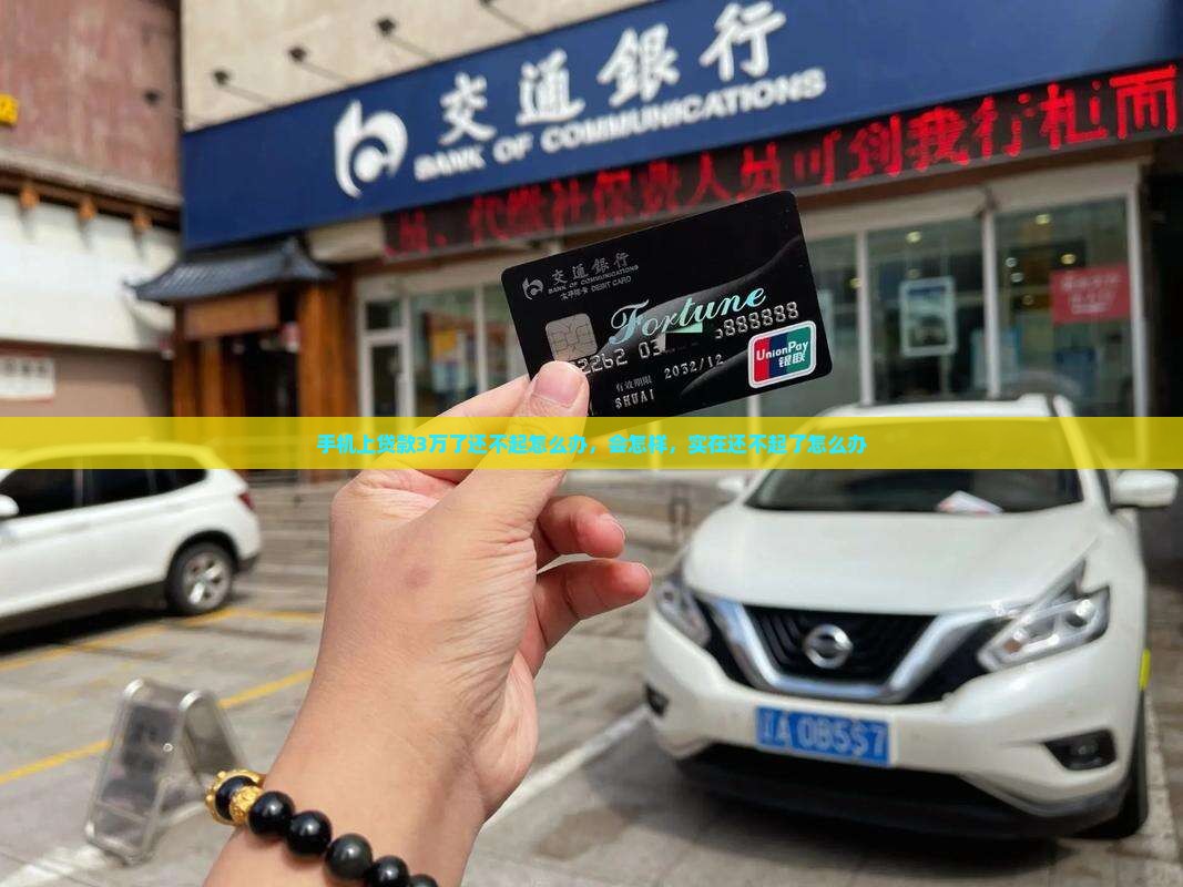 手机上贷款3万了还不起