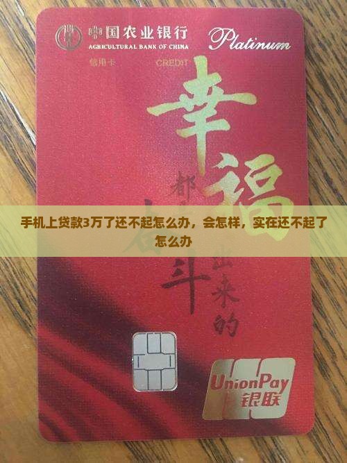 手机上贷款3万了还不起