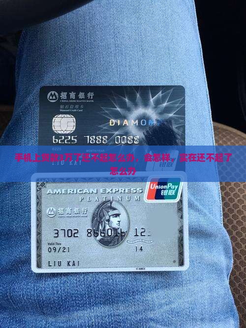 手机上贷款3万了还不起